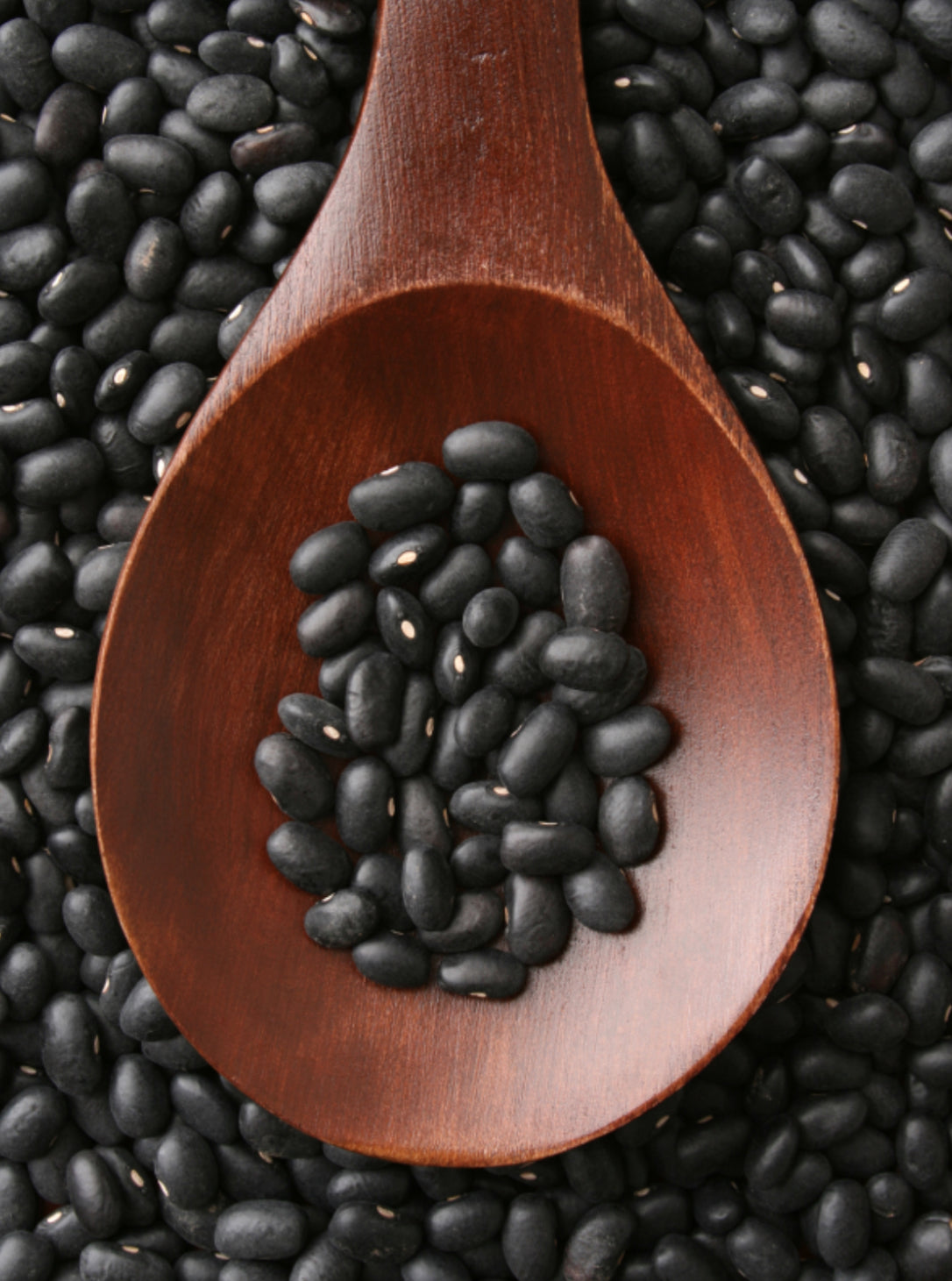 Black Beans African Beauty -900g